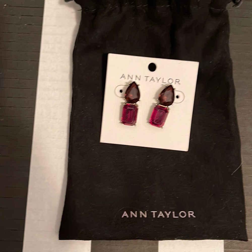 Ann Taylor chunky stone earrings